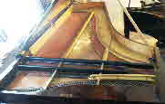 Bosendorfer 12228