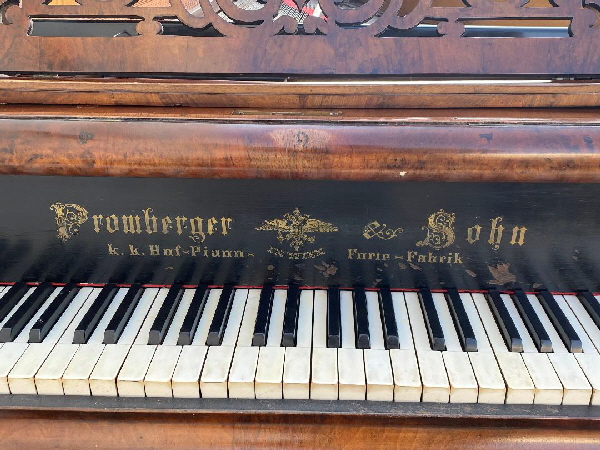 Promberger grand 6