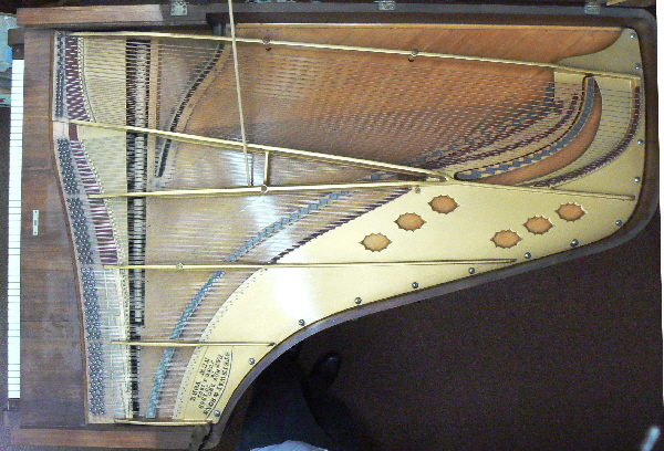 Steinway 24681 plan view 2