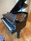 Steinway A1 1886